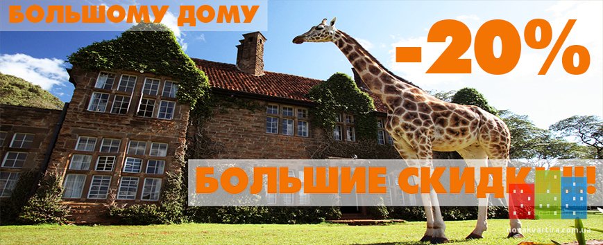giraffe12.jpg