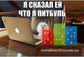 images.jpg