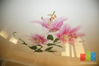 DSC03771 (Small).JPG