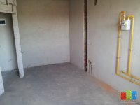 IMG_20160215_144944.jpg
