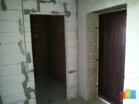 IMG_20160215_145223.jpg