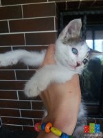 20160624_105446.jpg