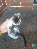 20160624_105434.jpg