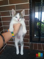 20160624_105404.jpg