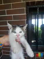 20160624_105332.jpg