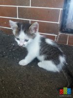 20160624_105238.jpg