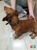 20160908_201003.jpg