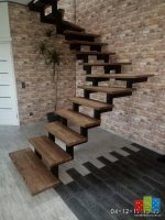 Бортничи ясень (1).jpg