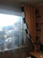 2013-02-13 12.24.36.jpg