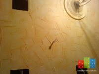 DSC09135.JPG
