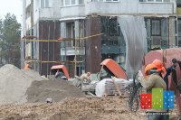 img_0556.jpg