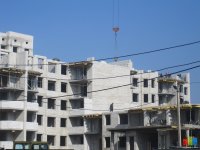 IMG_3976.JPG