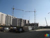 IMG_0007.jpg