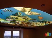 IMG_08381.jpg