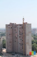 img_0556.jpg