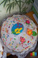 100_0779.JPG