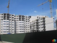 IMG_4641.JPG