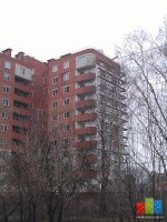 IMAG0925.jpg