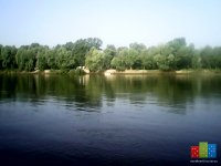 IMG_20130707_081219.jpg