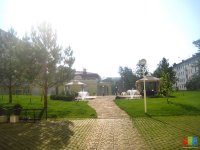IMG_4917.jpg