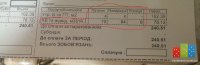 IMAG0369.jpg