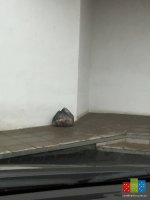image.jpeg