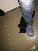 image.jpeg