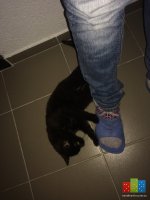 image.jpeg