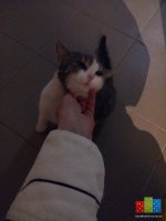 20160226_220412.jpg