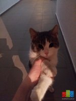 20160226_220355.jpg