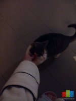 20160226_220406.jpg