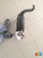 image.jpeg