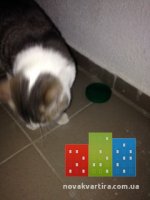 image.jpeg