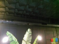 IMG_20160325_144148.jpg