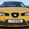 -tigra-