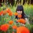 Orivalery