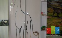 550x340__upload_images_catalog_shkaf-kupe_11_2014-05-23-160642.jpg