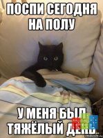 5480_137072281493.jpg