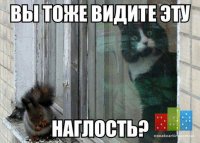 -6oEEFYLafE.jpg